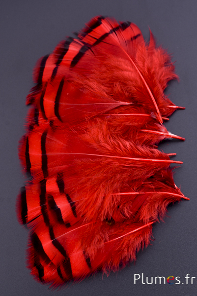 Perdrix - 3-7 cm - rouge